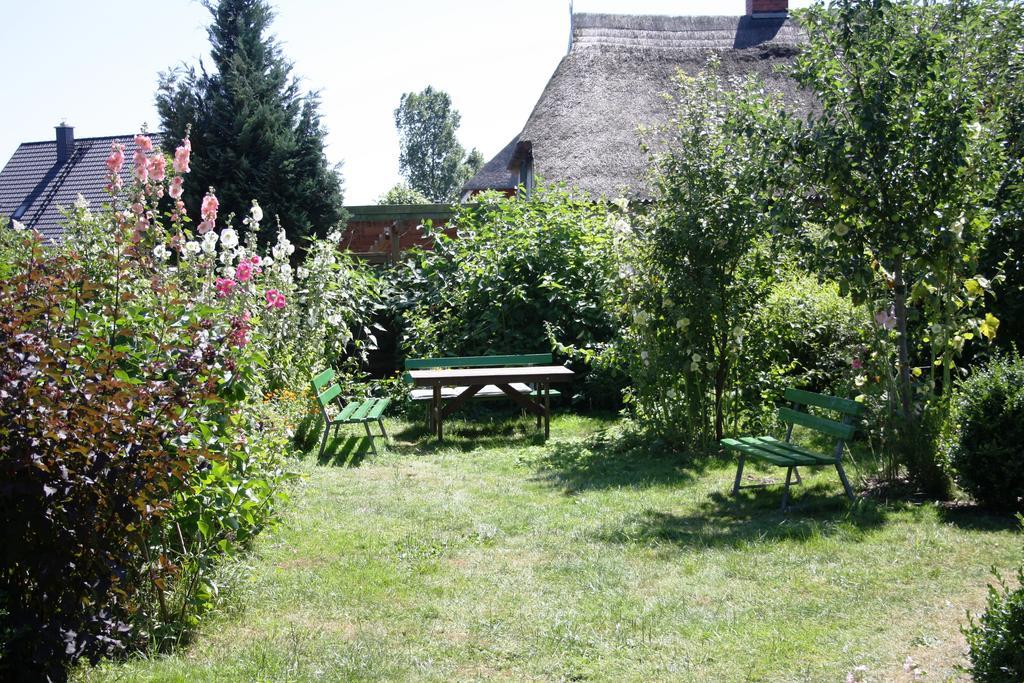 Landhaus Martens Bresewitz Exteriér fotografie